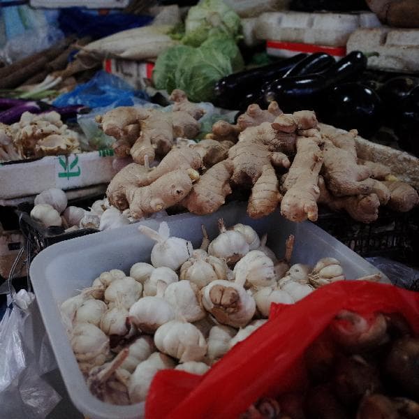生姜发芽可以吃吗？一文详解发芽生姜的食用安全与储存方法