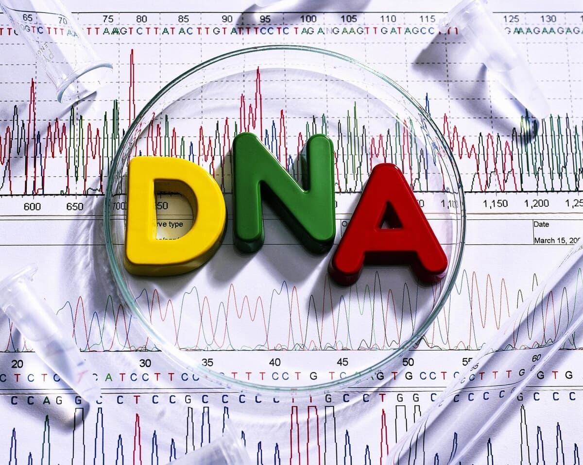 郑州DNA鉴定技术解密：亲子鉴定的科学原理与应用
