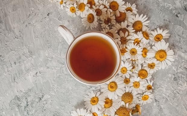 黄山毛峰是红茶还是绿茶？泡制方法详解
