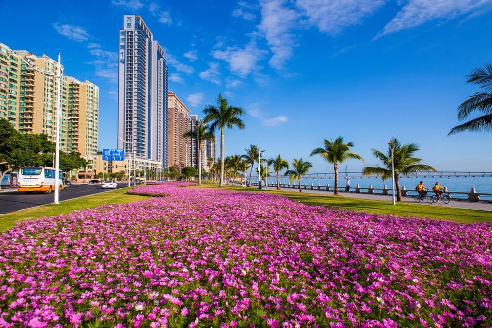 春节去哪玩？珠海一大波“出圈”旅游产品在等你！