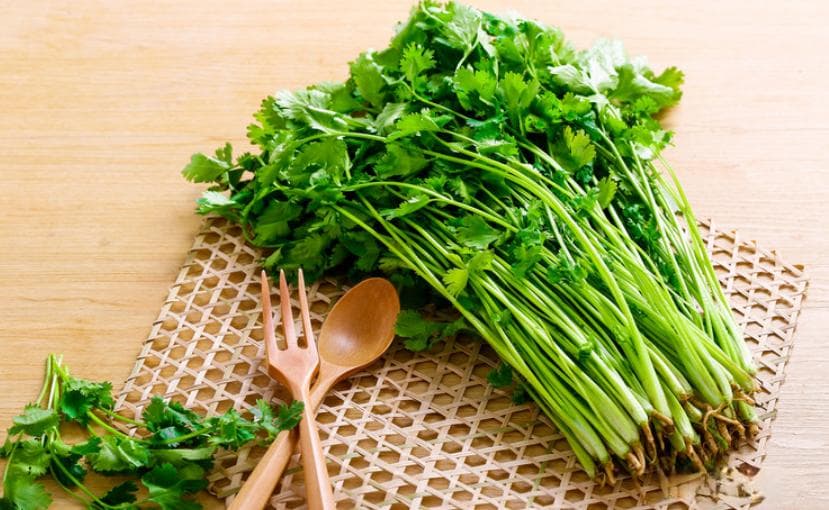 为什么有的人，给他100万也不吃一口香菜？