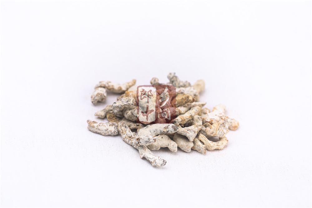僵蚕的功效与作用