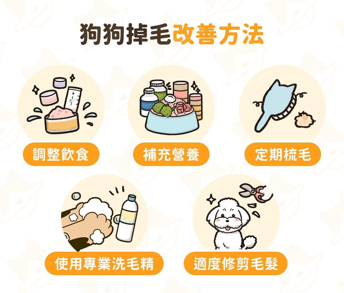 为什么狗狗一直掉毛？狗狗掉毛原因、简单5招养出亮丽毛发