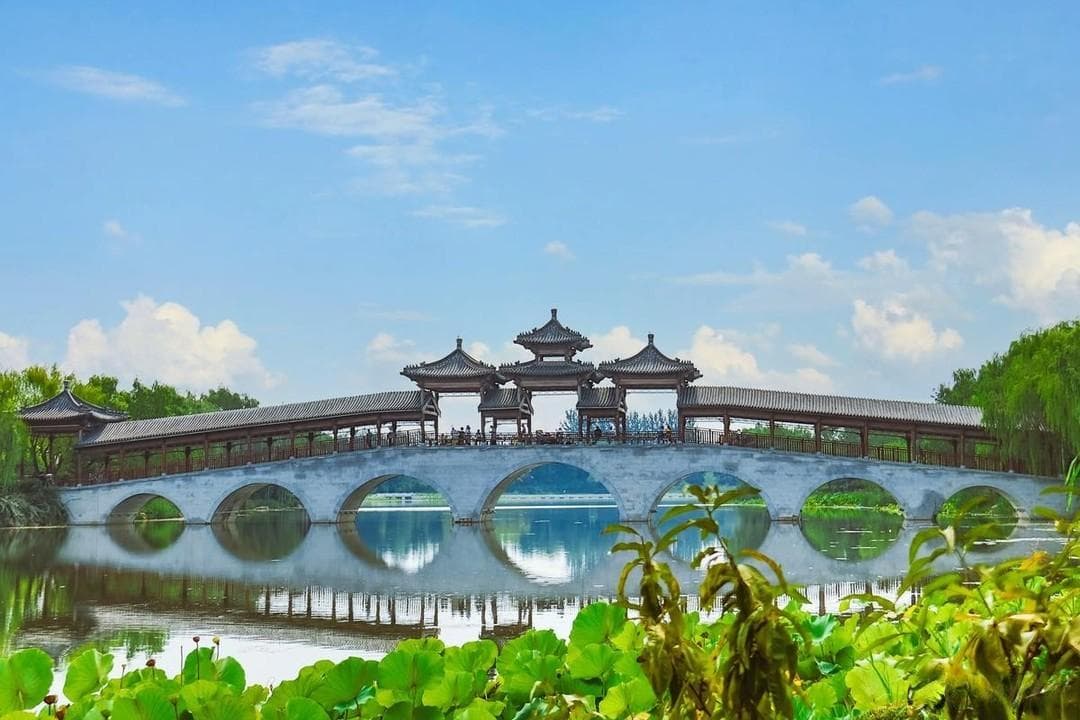 全球口罩市场分析：供需动态与未来趋势