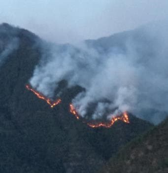 清明节祭祀活动频繁,山火敲响警钟，大地亟待复绿