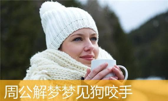梦见狗咬自己周公解梦