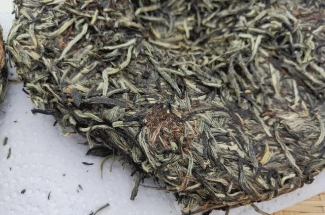 白茶霉变的三大特征？看完别白费时间存了！