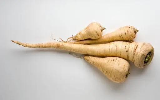 欧防风：一种古老的根茎类蔬菜