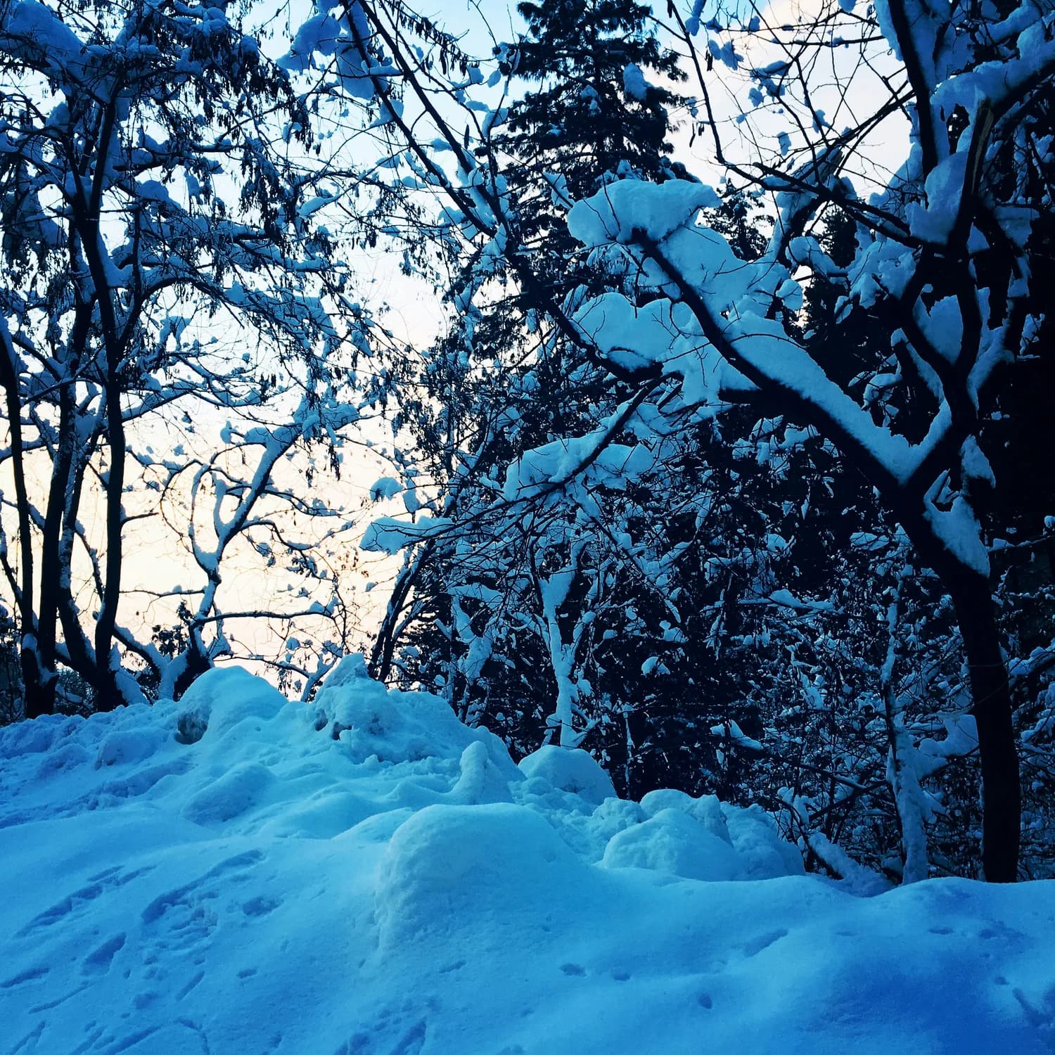 银川市工人文化宫：带娃看《熊出没之雪岭熊风》