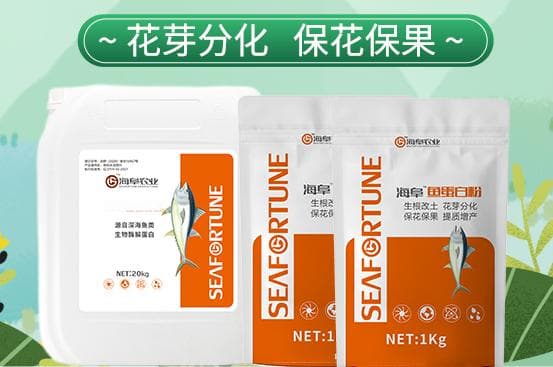 鱼蛋白对植物的作用和功效 农业生产的天然助力