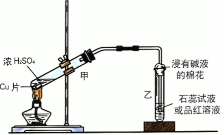 铜与浓硫酸反应的化学探究