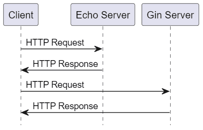 Go: 深入了解 Echo 框架并对比 Gin