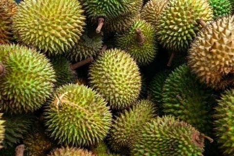 大马鲜榴莲要来了！海关总署发布检疫要求公告