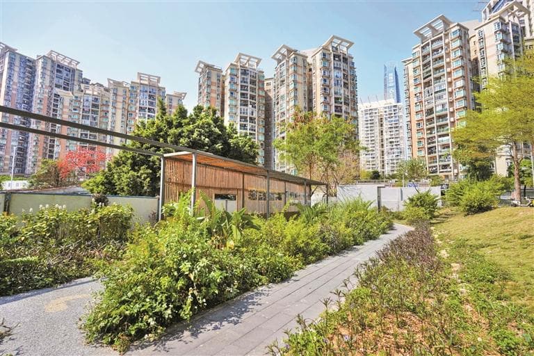 见缝插景，将口袋公园嵌入城市肌理  深圳街头长出会呼吸的“绿补丁”