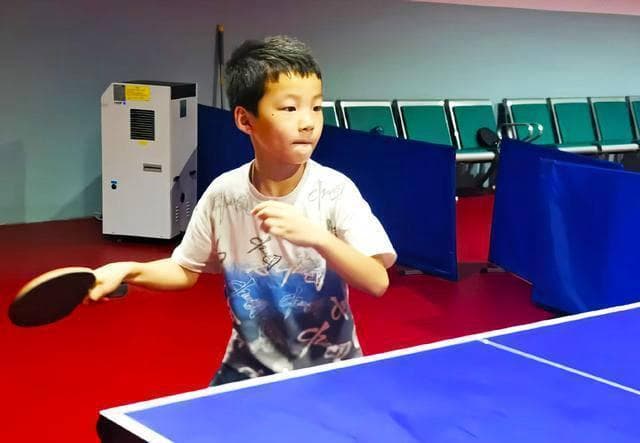 初学者如何正确选择适合自己的乒乓球拍？以下建议助你一臂之力