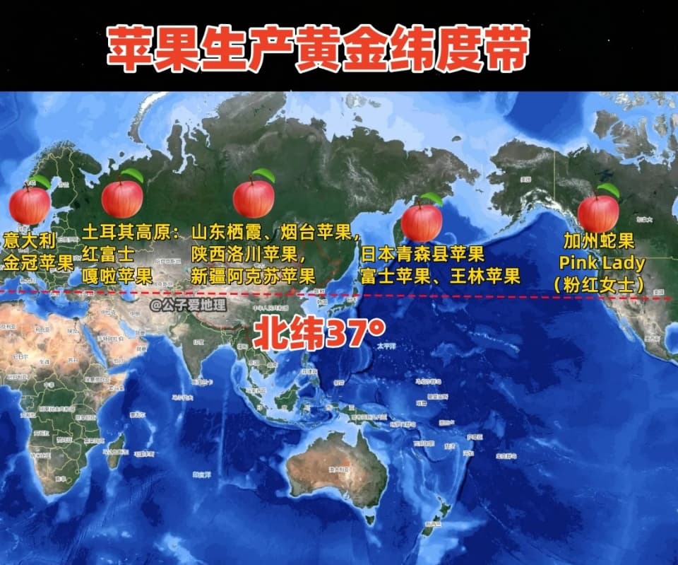 北纬37°：苹果种植的“黄金纬度”