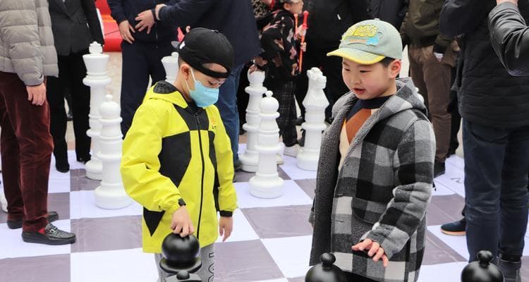 国际象棋技巧速成（从入门到精通）