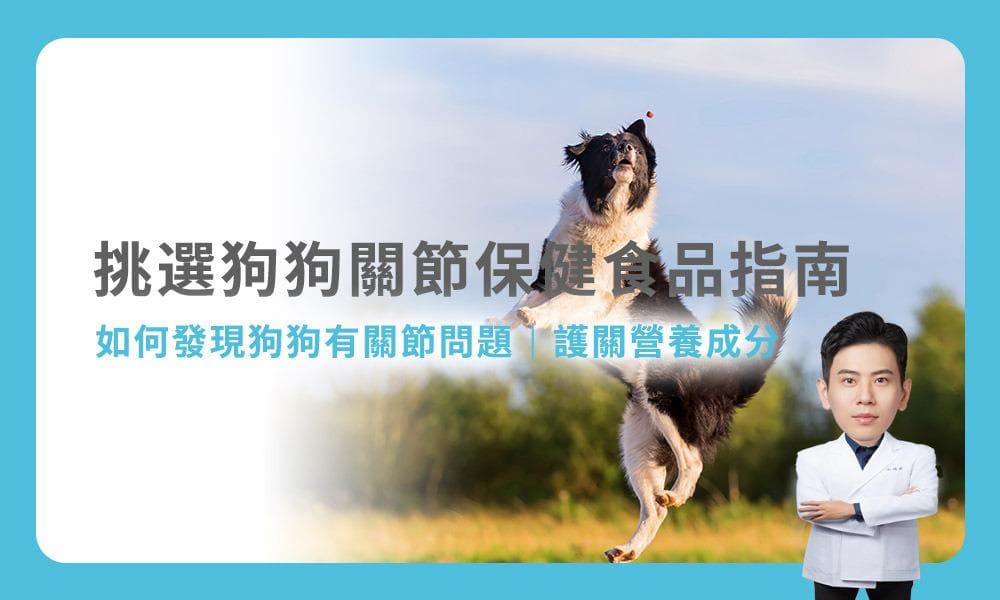 狗狗关节保健食品选购指南：常见的关节保养成分！
