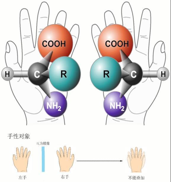 航天员如何在太空中自给自足？这些细菌可能帮得上忙