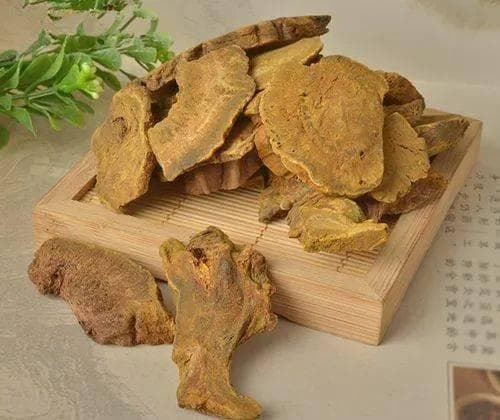 中药材大黄的功效与应用