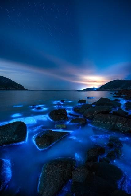 世界上最大的海峡：莫桑比克海峡