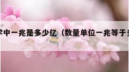数学中一兆是多少亿（数量单位一兆等于多少亿）
