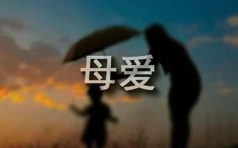 母爱的故事29个