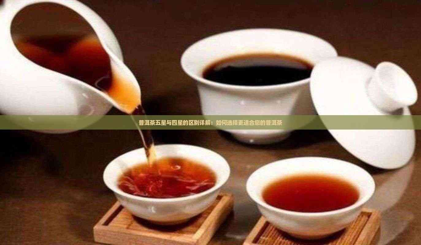普洱茶五星与四星的区别详解：如何选择更适合您的普洱茶