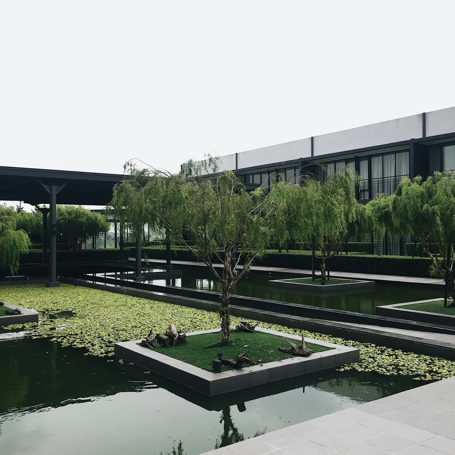 望湘园财报风波：王欣与大股东意见不合？