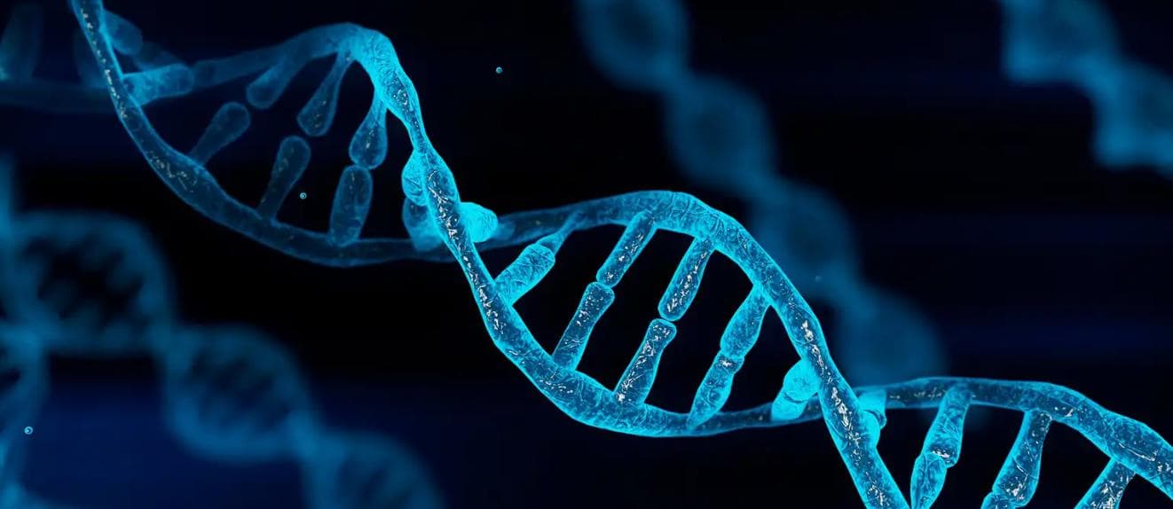青少年特发性脊柱侧弯病因 | PPSCT文献精摘