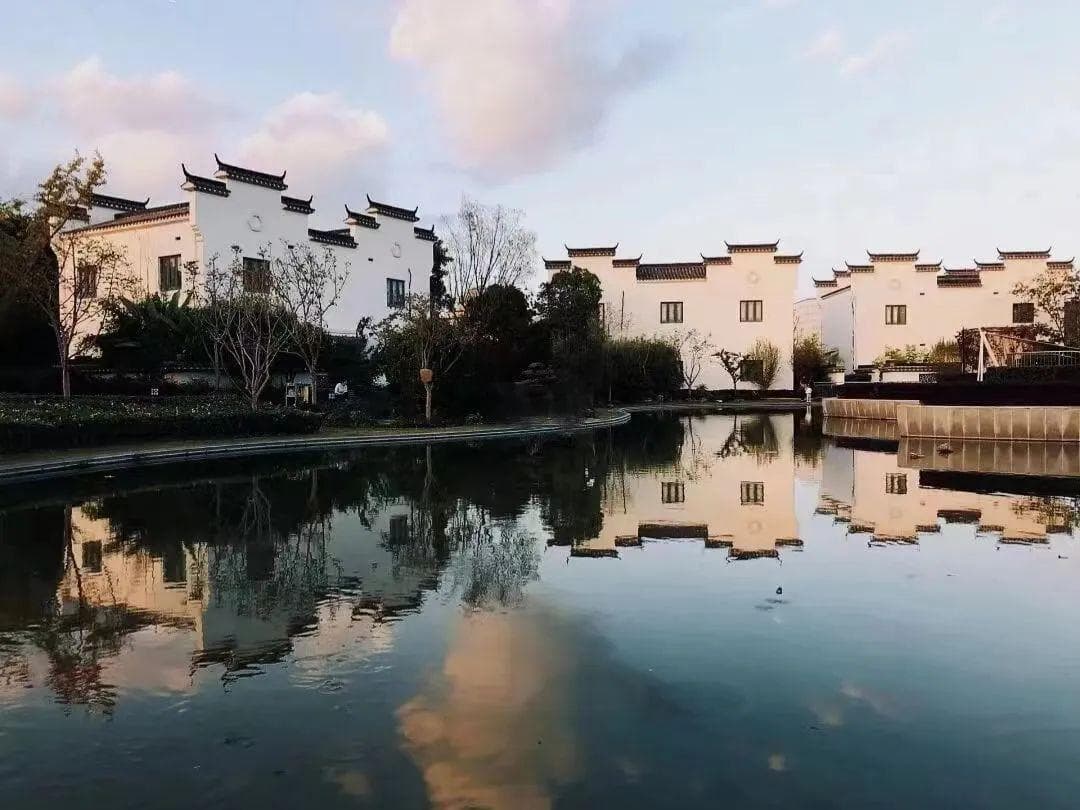 春日赏景必去地：上海长宁区三大打卡点