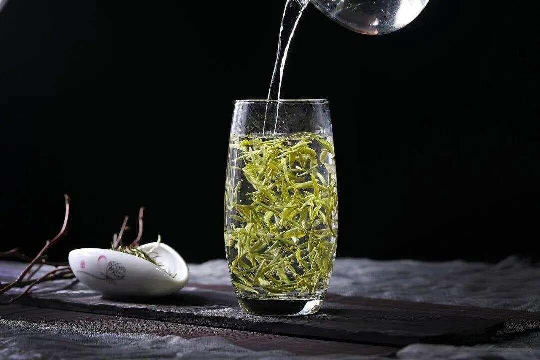 什么茶叶需要放冰箱冷藏？家庭存茶的5个要点，做不好茶就坏了