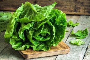 适合生酮饮食的 20 种低碳水化合物蔬菜