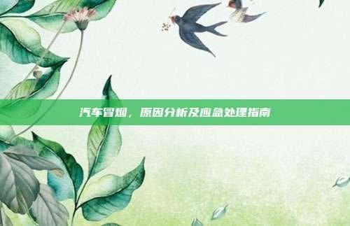 汽车冒烟，原因分析及应急处理指南
