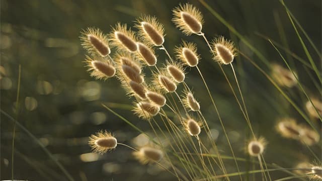 夏天出汗多是在排毒吗？中医专家解读出汗与健康的关系