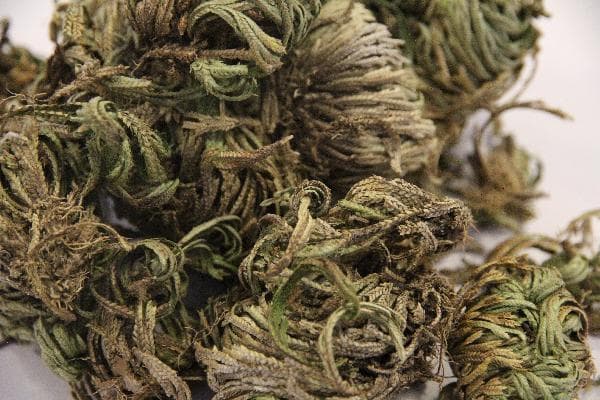中药煎煮全攻略：火候、时间与用量的关键控制