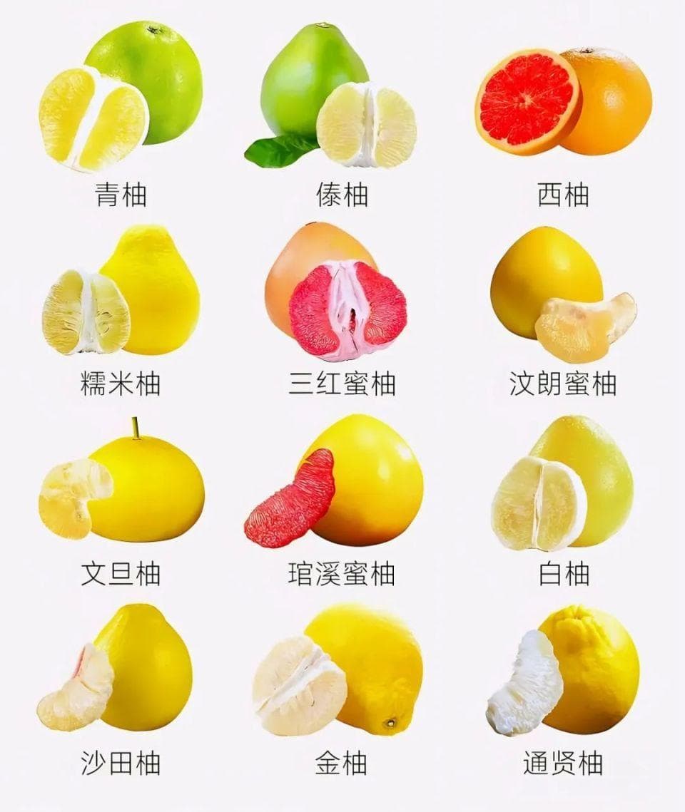 “西柚”与“柚子”，别再傻傻分不清