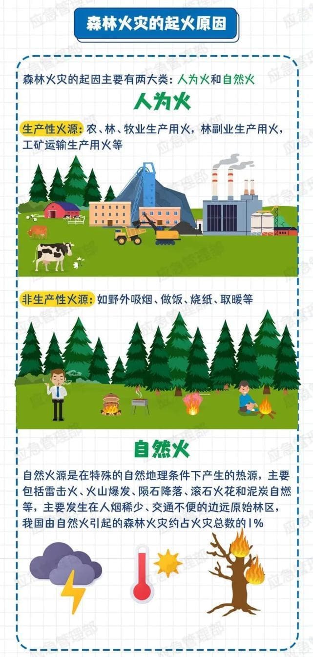 森林防火知识全攻略：从预警到逃生，这些关键信息要记牢！