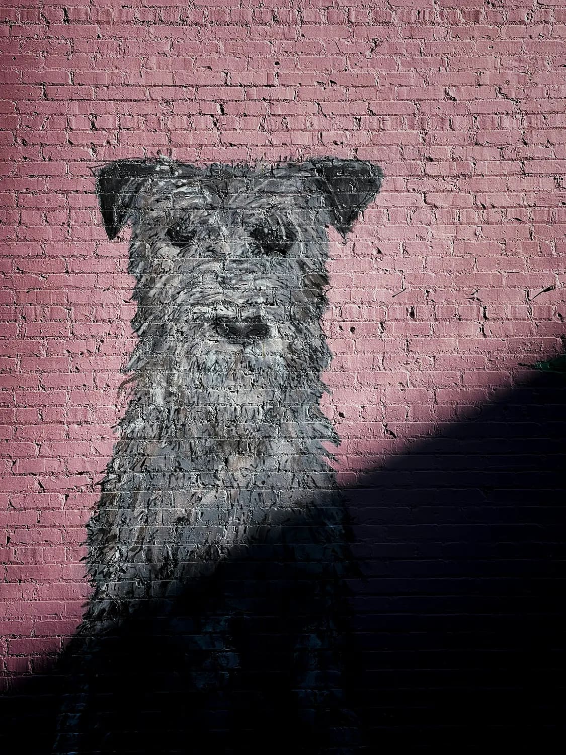 中山国的北犬：古时最强嗅探犬？