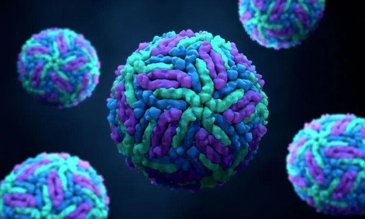 一个课题组两篇Cell发布病毒与宿主相互作用重要研究