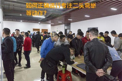 如何正确进行专注二头弯举等动作？