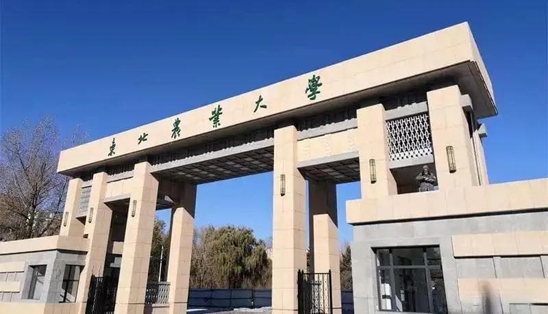 适合二本生考研的6所211大学，难度偏低、竞争小，有你想考的吗？