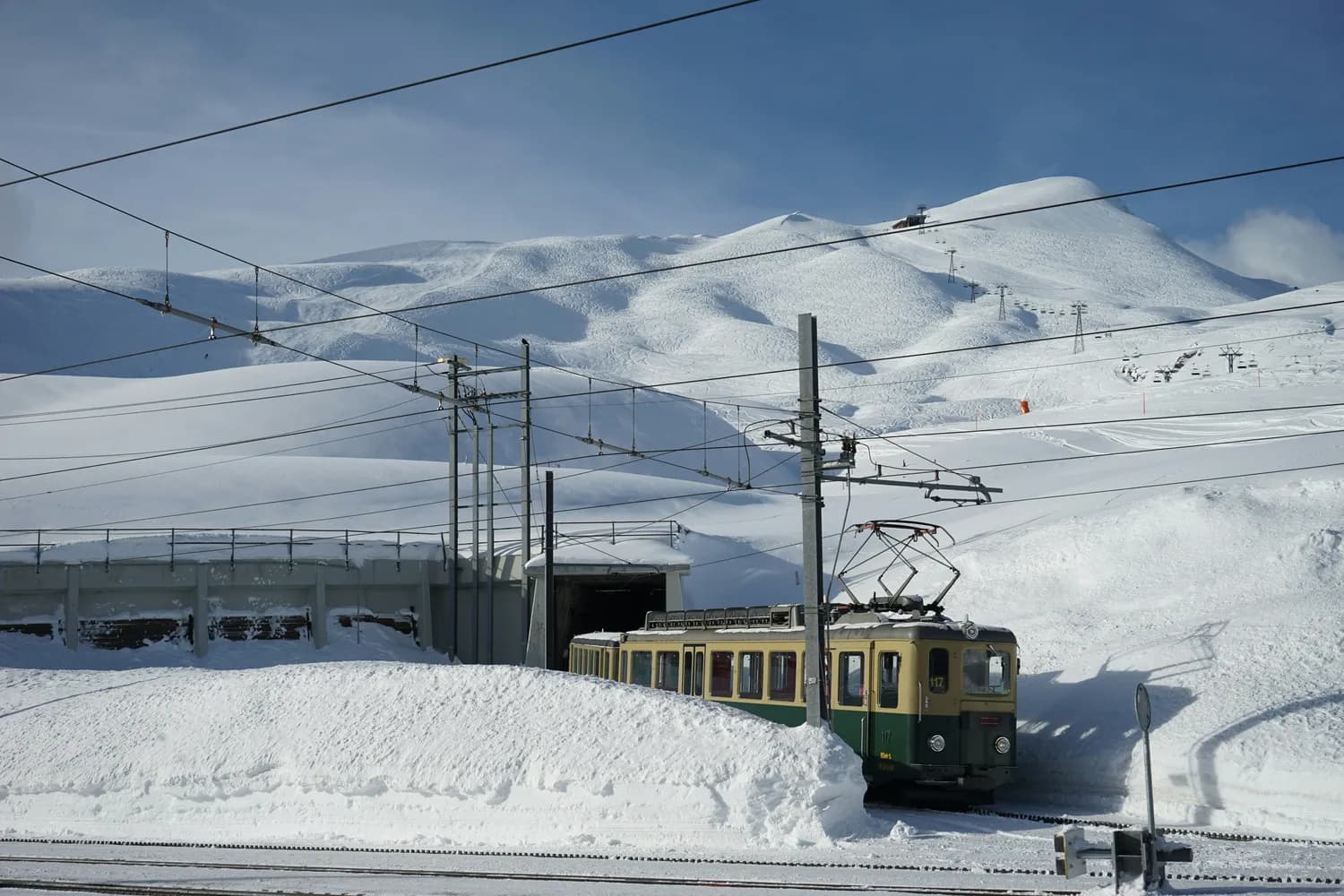 都江堰下雪啦！这些打卡地你拍了吗？