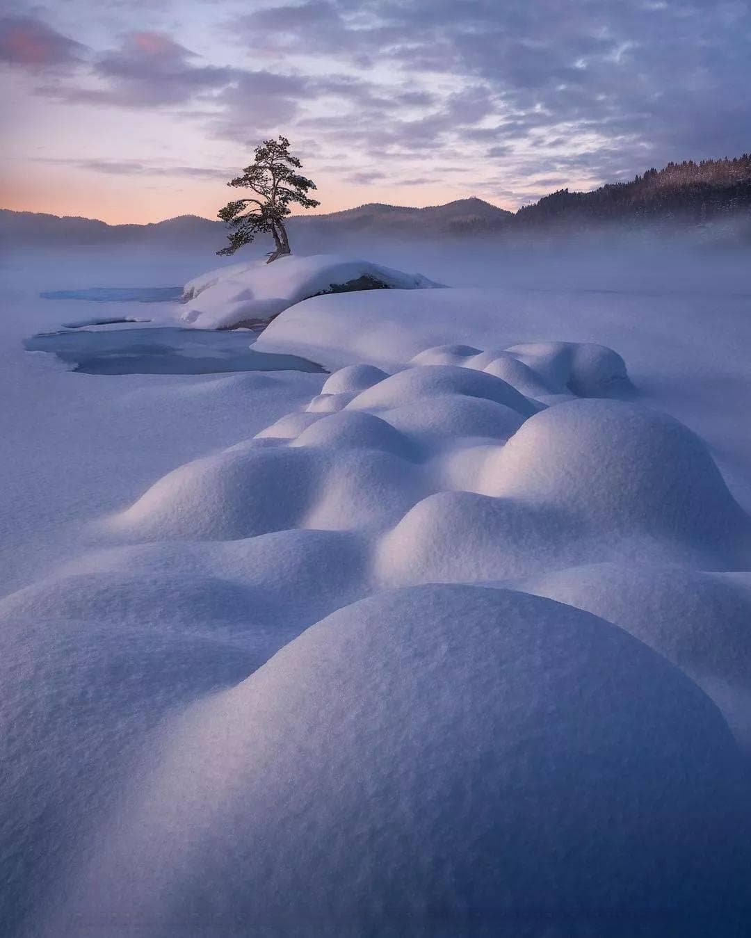 如何拍出专业级雪景大片？7个实用技巧手把手教你掌握