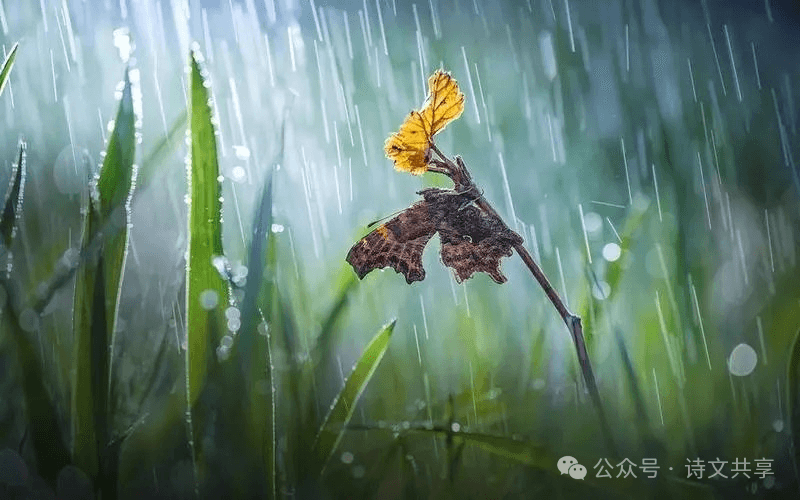 从落花到蛙鸣，南宋曹豳一首《春暮》七绝，诠释生命新篇章