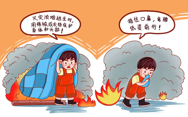 学乐器怎么选：爱好与专业的全方位考量