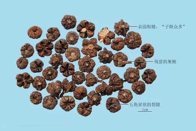 吴茱萸：温肝散寒止痛、温胃制酸降逆、温肾止泻止哕