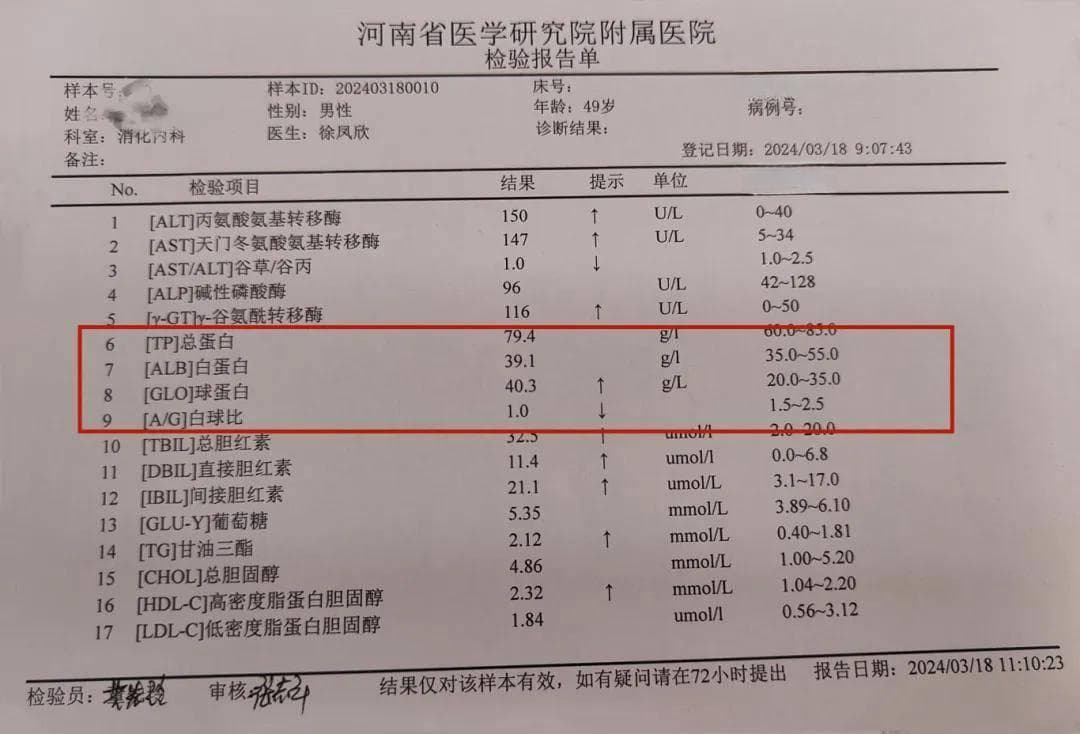 肝功能检查报告如何解读？总蛋白、白蛋白是什么意思？
