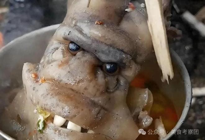 河南浆面条与北京豆汁哪个味道更奇葩？都吃过的人，敬你是条好汉
