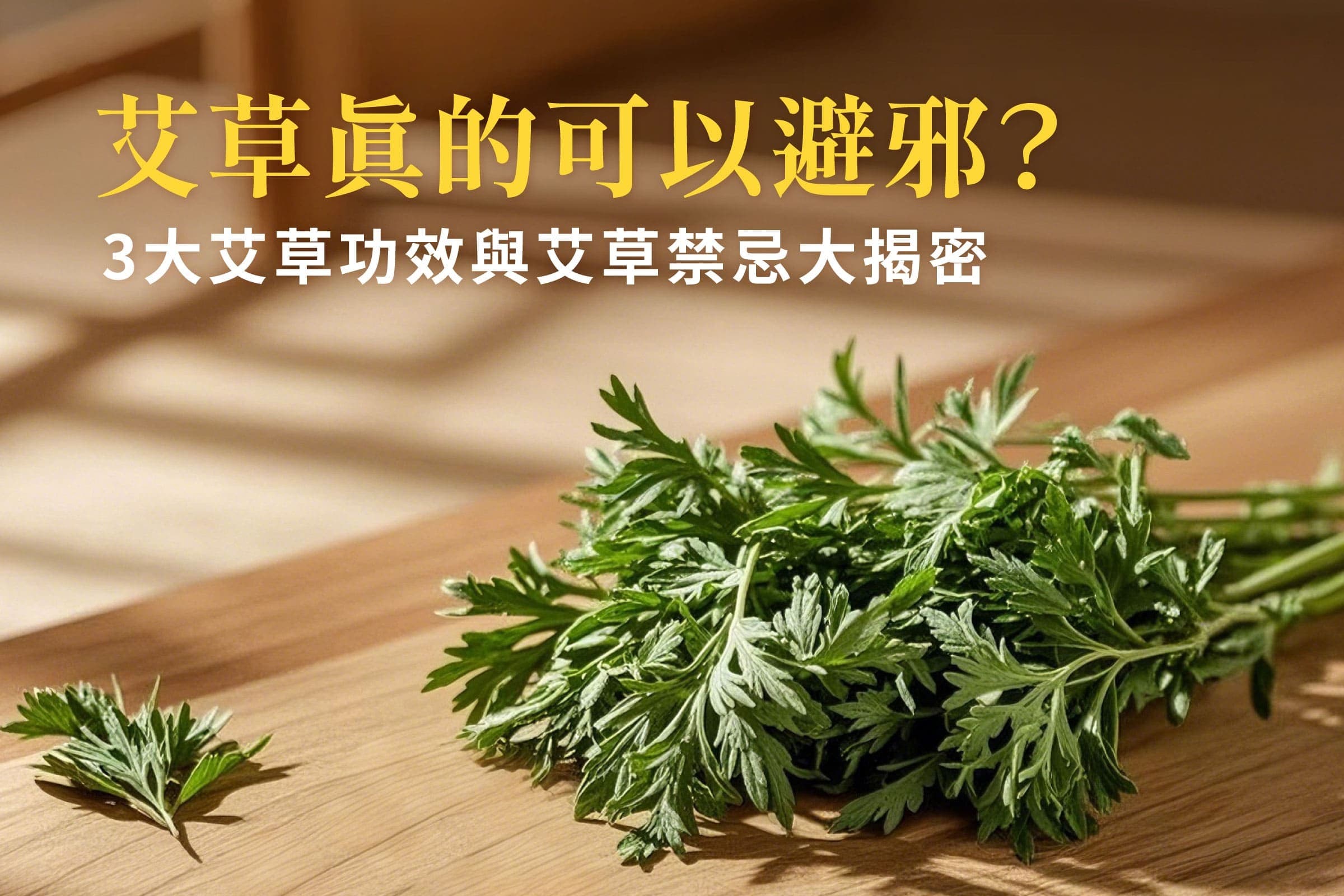 艾草的功效与使用禁忌全解析